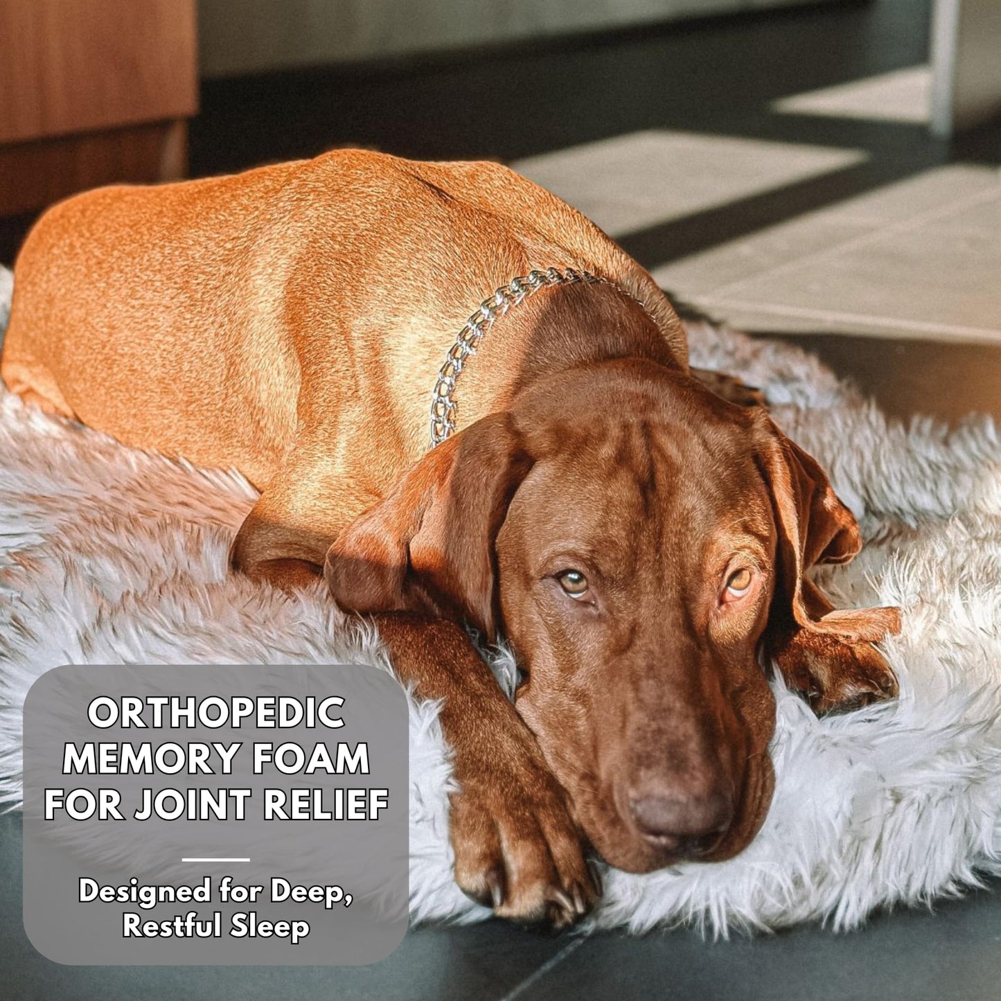 Luxus Kunstfell Orthopädisches Hundebett, Memory Foam Hundebett für kleine, mittlere, große und XL Haustiere, Flauschiger Welpenteppich mit wasserdichtem und waschbarem Softbezug, Knochenweiß