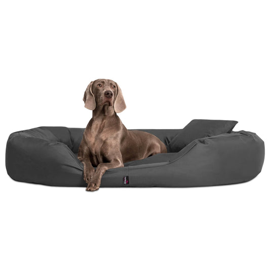 tierlando® Orthopädisches Hundebett Sammy - Robuster Polyester - Dicke Umrandung - Gr. L - XXXXL Hundesofa Hundekörbchen, mittelgroße und große Hunde, waschbar Gr. XXXXL 220 cm Graphit Grau