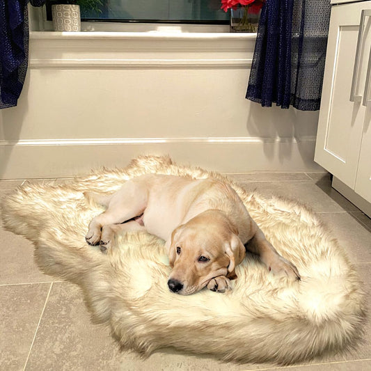 Luxus Kunstfell Orthopädisches Hundebett, Memory Foam Hundebett für kleine, mittlere, große und XL Haustiere, Flauschiger Welpenteppich mit wasserdichtem und waschbarem Softbezug, Knochenweiß (Medium)